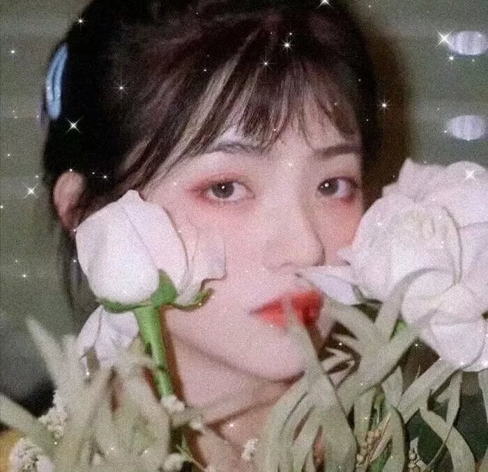 二十七朵玫瑰